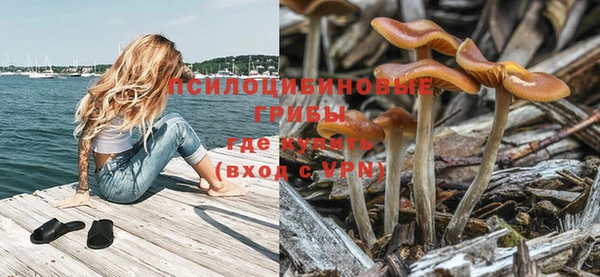 mdpv Баксан
