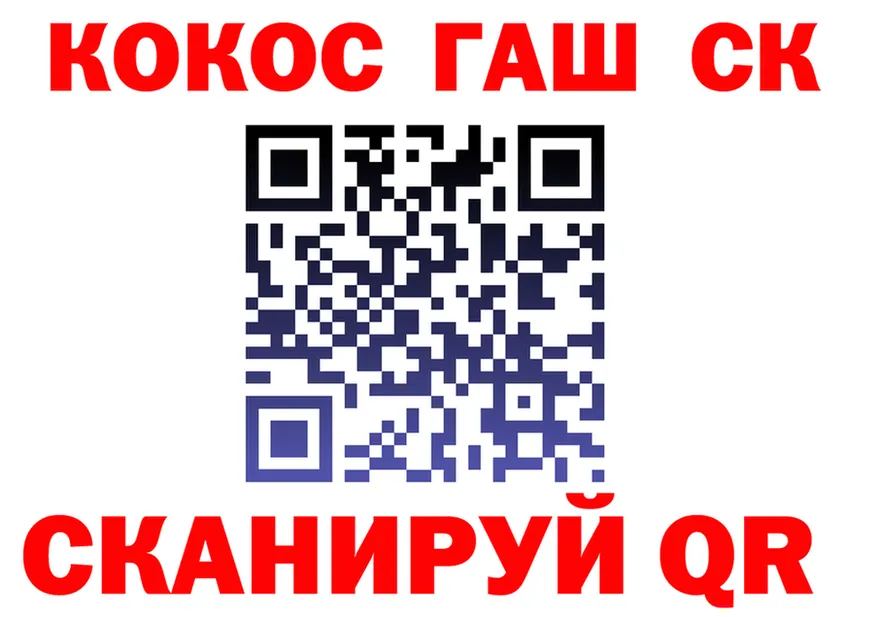 A PVP СК зеркало shop ОМГ ОМГ Берёзовский