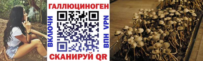 Галлюциногенные грибы GOLDEN TEACHER  где продают наркотики  Берёзовский 
